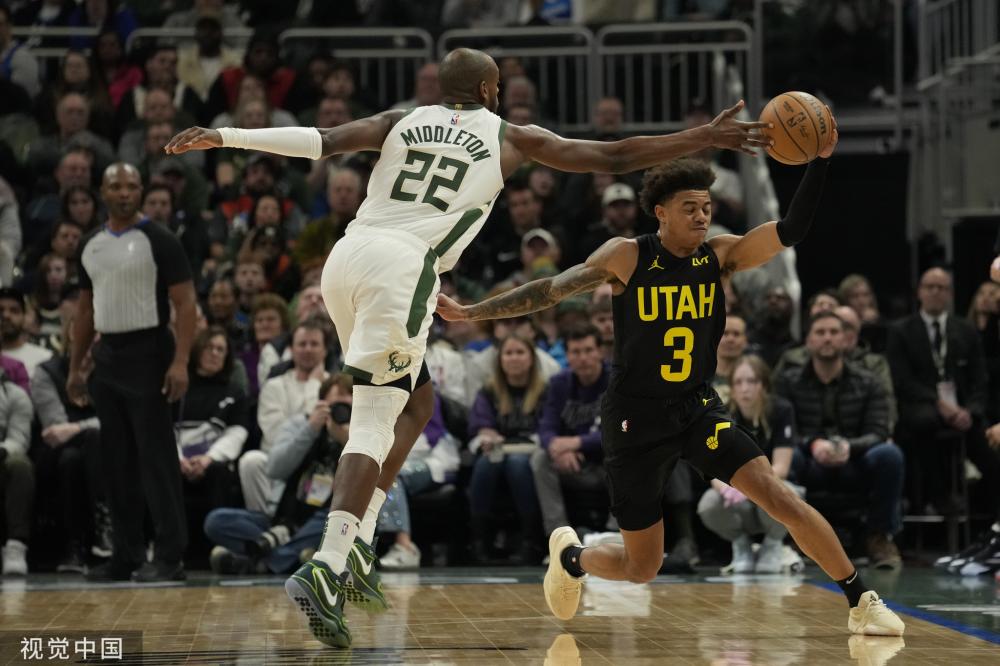 一种巨大的 一种巨大的